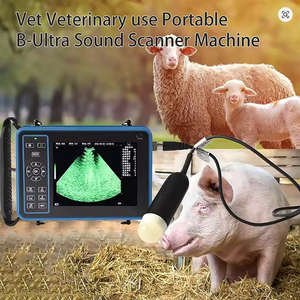 Escáner de Ultrasonido Veterinario Portátil, Máquina de Diagnóstico de Gestación Veterinaria B-Ultra (B, <span class=keywords><strong>BB</strong></span>, 4B, B+M, M) para Cerdos, Ovejas, Ganado, Caballos y Perros - Product Image 2