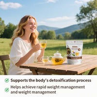 Tisane Détox Minceur Rapide OEM, Tisane Détox Naturelle aux Graines de Chicorée, Racines de Pissenlit, Curcuma et Extrait de Menthe