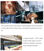 Shandong Tsp Trisodium Phosphate Food Industrial Grade Dodecahydrate 98% Purity ISO9001 Certified Industrial Water Treatment Use