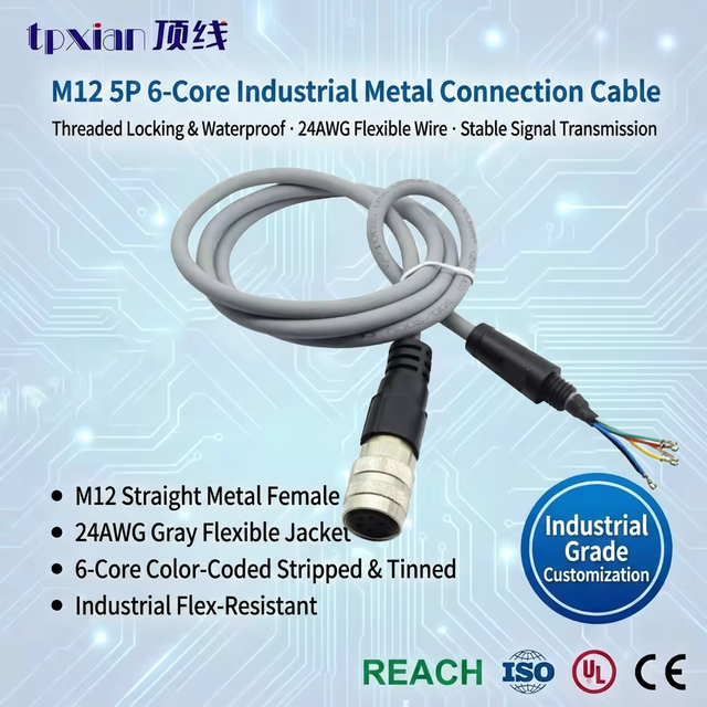 Factory M12 5Pin 6Core Female Straight Cable 24AWG Gray Flexible Sensor Wire Waterproof Industrial Automation Connection Cable