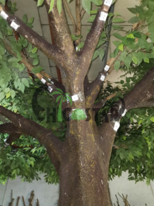 Trung Tâm Triển Lãm Trang Trí Nhân Tạo Đa Cây Chi Nhánh/Trong Nhà Lớn Bạch Đàn Nhân Tạo Ficus Cây Trang Trí - Product Image 5