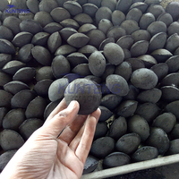 Machine à briquettes de bois, machine à charbon de coque de noix de coco, machine à charbon de bois, machine à presser le coke en forme de boule ovale à action rapide, carbonate de calcium