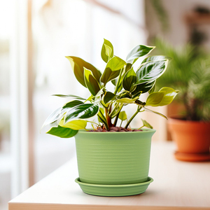 Macetas <span class=keywords><strong>de</strong></span> Plástico Ecológicas y Resistentes <span class=keywords><strong>de</strong></span> Gran Tamaño para Interiores y Balcones, Ideales para Pothos, Rosas y Suculentas - Product Image 4