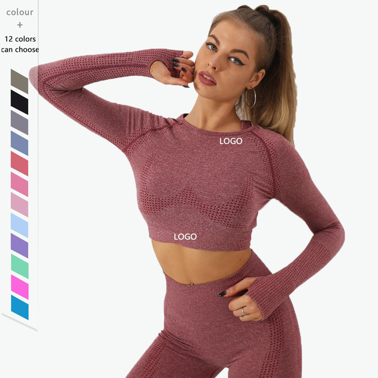 Wholesale Women Sportswear Seamless Long Sleeve Yoga Top Shirt for Women Quick Dry Clothes Autumn Winter Running Fitness Wear