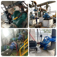Pompe centrifuge horizontale à double aspiration à corps divisé pour machines agricoles, grande capacité, électrique et automatique