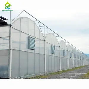 Greenhouse agrícola inteligente, totalmente automático, multi-span, blackout, estufa, vidro, casa verde com sistema de hidroponia