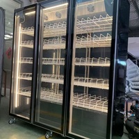 Réfrigérateur de présentation pour boissons gazeuses, refroidisseur de bouteilles de vin, ventilateur de refroidissement, vente chaude, congélateur, réfrigérateur