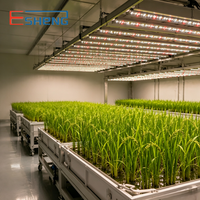Phytotron Automatisé pour Riz, Contrôle de Température et d'Humidité, Fonctions de Système Extensibles, Fabricant de Chambres de Culture Végétale