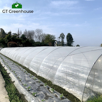 Serre d'extérieur GT, structure de serre en plastique, agriculture commerciale, à vendre