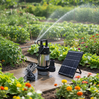 Pompe à eau submersible solaire en acier inoxydable 50 mm 2 pouces 500 W CC sans balais pour l'irrigation