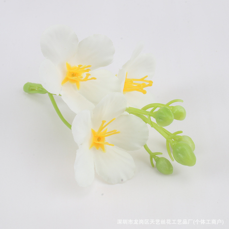 Blanc