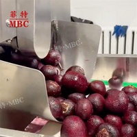 MBC CE-gecertificeerde grote capaciteit wortelschiller, cassave-, aardappel-, bieten- en groenteschiller en -wasser
