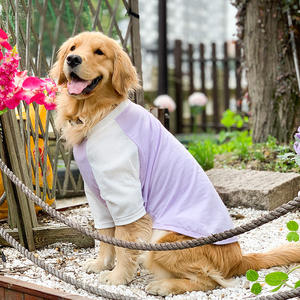 Gilet d'entraînement de <span class=keywords><strong>coyote</strong></span> respirant en gros dos de poitrine pour Golden Retriever, Samoyède, Labrador et autres races moyennes à grandes races - Product Image 3