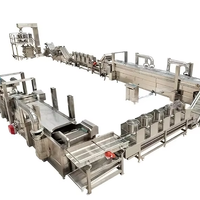 High-end volautomatische industriële lijn voor de verwerking van diepvries gemberfrietjes, 7200 kg/u, multifunctioneel voor fruit en groenten