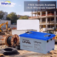 Batería de 38.4V 200AH para Montacargas, Batería LiFePO4 de Carga Rápida para Montacargas de Interior, Servicio OEM ODM con Certificación CE RoHS FCC