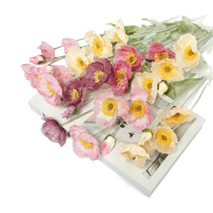 <span class=keywords><strong>Bouquet</strong></span> <span class=keywords><strong>de</strong></span> fleurs artificielles en soie <span class=keywords><strong>de</strong></span> coquelicot d'Islande <span class=keywords><strong>rose</strong></span> avec technique <span class=keywords><strong>de</strong></span> flocage pour la décoration <span class=keywords><strong>de</strong></span> salon et <span class=keywords><strong>de</strong></span> mariage - Product Image 5