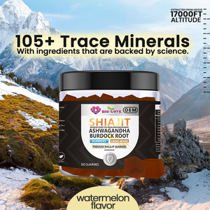 Gummies d'extrait de Shilajit Énergie Cheveux Peau Ongles 60 Comprimés Crinière de <span class=keywords><strong>Lion</strong></span> Racine de Pissenlit Énergie Masculine Soutien Immunitaire Complément Alimentaire à Base de Plantes - Product Image 4