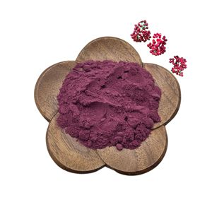 Anthocyanin nhà máy chiết xuất oganic Đen Cơm cháy chiết xuất bột <span class=keywords><strong>Elderberry</strong></span> chiết xuất - Product Image 1