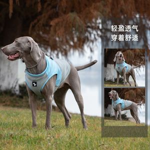 Gilet Rinfrescante Traspirante per Cani con Attacco per Guinzaglio, per Razze Medie/Grandi, Abbigliamento Estivo XXL, Stile Casual, T-Shirt - Product Image 1