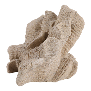 Statuetta in Resina a Forma di Conchiglia con Finitura Effetto Sabbia, Decorazione Costiera per Casa, Bagno, Ufficio, Soggiorno, Esposizione su Scaffale - Product Image 3