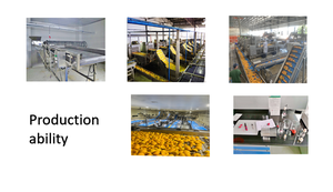 Đào vàng đông lạnh iqf đào tươi và ngon từ Trung Quốc - Product Image 6