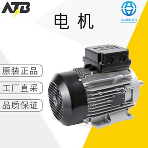 Motor de inducción Atb de 130 mm trifásico totalmente encapsulado con montaje en pedestal - Product Image 1