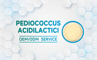 Fabricant de poudre de Pediococcus Acidilactici en marque privée, sachets et emballages en vrac, OEM, Chine, Shenzhen