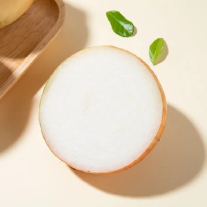 Chất Lượng Cao Úc Vàng Hành Trong Số Lượng Lớn Rau Tươi Với Hương Vị Ngọt Ngào Tốt Nhất Giá Bán Buôn Mỗi Tấn - Product Image 2