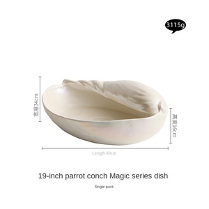 Piatto Moderno <span class=keywords><strong>in</strong></span> Ceramica Non Tossica per Sashimi di <span class=keywords><strong>Salmone</strong></span>, Forma Irregolare, Stoviglie di Alta Qualità per Hotel, Ristoranti, Buffet e Feste di Pesce - Product Image 6