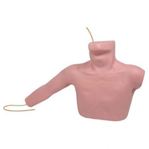 Modelo de Punción Periférica y Punción Venosa <span class=keywords><strong>Central</strong></span> para Canulación - Product Image 2