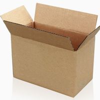 Cajas de Envío Pequeñas Biodegradables de Cartón Corrugado Marrón, Estilo Carpeta, 25x15x4cm, Recubrimiento EVA UV, Laminado Mate, Grabado Magnético
