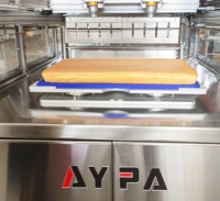 Machine de découpe alimentaire ultrasonique certifiée pour desserts, gâteaux, brownies, avec nettoyage automatique, en acier inoxydable, sécurisée, pour la pâtisserie industrielle et les cheesecakes