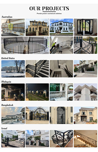 Miglior Prezzo Cancelli Artistici Decorativi da Giardino in Metallo dalla Cina Recinzioni Graticci e Cancelli di Alta Qualità - Product Image 6