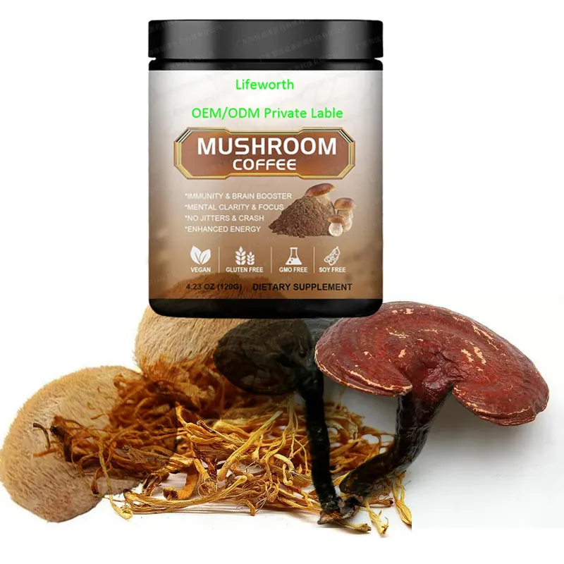 hot selling mushroom coffee chocolate mushroom coffee organic reishi mushroom coffee private label