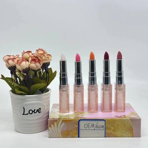 2026 ODM/ODM Matte Lipstick <b>Set</b> for Women-Vegan Formula Moisturizing Long-Lasting Waterproof Finish Private Label Wholesale 5 - Product Image 1
