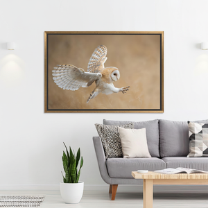 Barn Owl <b>Canvas</b> Art: Before Attack - Printed <b>Canvas</b> Wall Decor,GOLD <b>FRAMED</b> <b>CANVAS</b> - Product Image 3