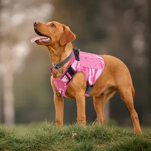 Duurzaam Huisdier Tactisch Vest Hond K9 Harnas Zware Outdoor Huisdier Training Borst Hondentuig En Riemen