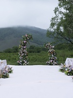 LQ LQHL004 Arche d'angle forestière pastorale avec fleurs artificielles pour la décoration de fond de cérémonie de mariage ou d'événement