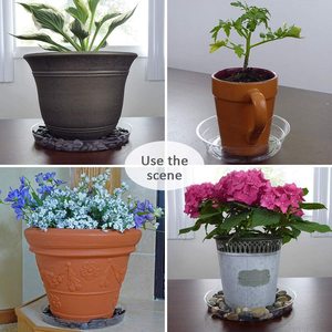 Plateaux transparents pour soucoupes de plantes, lot de 15, avec 15 étiquettes pour plantes, en plastique, Set de pots à fleurs pour l'intérieur et l'extérieur - Product Image 2