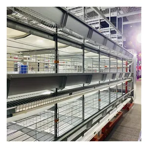 Factory Supply Chicken Layer Breeding Cages Automatic System H Type Chicken Layer Cage