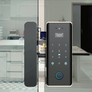 Enrique tuya ứng dụng kiểm soát sinh trắc học vân tay khóa Keyless thông minh cửa kính khóa Wifi Mặt ID đám mây lưu trữ dữ liệu tùy chọn - Product Image 2