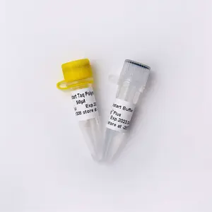 Hotstart Taq DNA Polymerase, PCR Test Reagent For DNA Amplification, Antibody Modified Enzyme P1091 500U