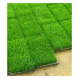 Bandeja Apilable de Plástico ABS de 300x600mm para Cultivo Hidropónico de Forraje, Germinación de Semillas de Arroz y Plántulas - Product Image 3