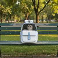 Sac de voyage portable transparent carré réglable avec fermeture éclair, écologique, mignon, moderne, pour l'extérieur, en PVC et PU, respirant et imperméable, pour chats
