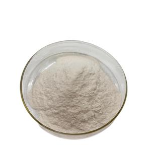 Proteína de Quinua 80%, Extracto de Quinua, Proteína de Quinua en Polvo - Product Image 4
