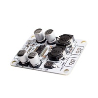 Carte amplificateur numérique monocanal TPA3110 PBTL Module amplificateur de puissance 30W Amplificateur numérique