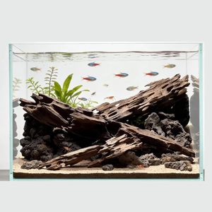 Decorazione per Acquario: Legno Naturale per Gamberetti, per Paesaggistica e Uso in Parchi, Ecologico e Durevole, Arredo per Acquari di <span class=keywords><strong>Rettili</strong></span> - Product Image 1