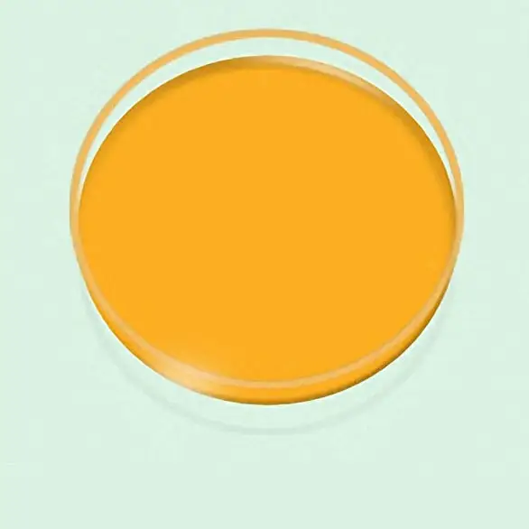Comida color amarillo E102 tartrazina atardecer amarillo 85%