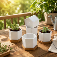 Pot de fleurs en céramique blanche pour plantes succulentes avec plateau en bambou, décoration