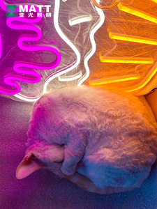 Letrero de neón para cupcakes, luces de neón Led blancas cálidas rosas para decoración de pared, letreros iluminados para panadería, tienda de postres, Bar, cafetería, fiesta - Product Image 4